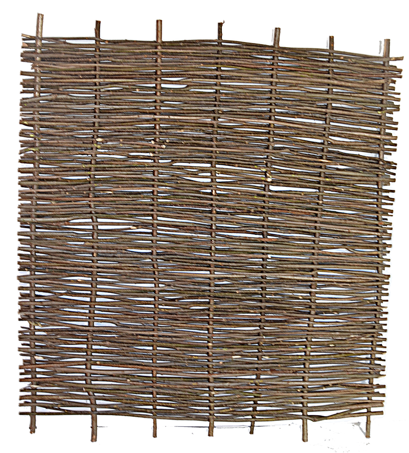 Natur - hazelnut