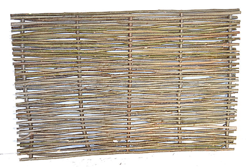 Hazel Optimal
