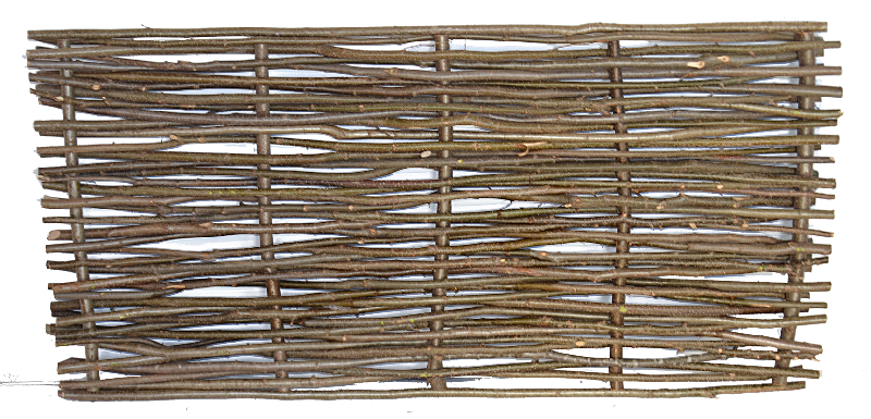 Hazel Optimal