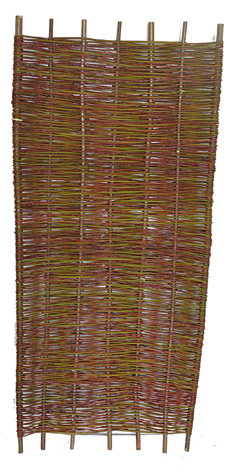 Weide nature (stabil)-plot od plantazne vrbe 90x180