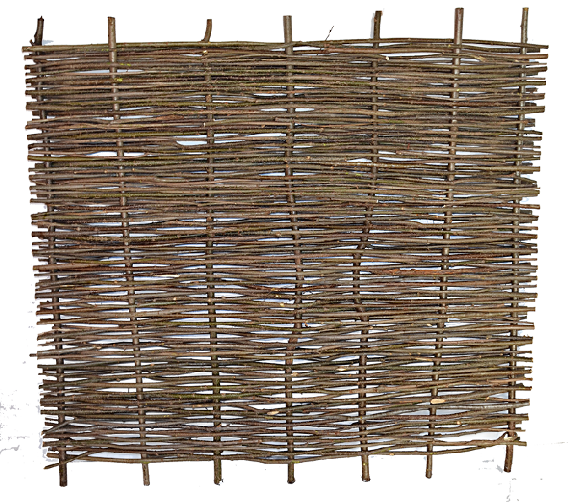 Natur - hazel, 180x150