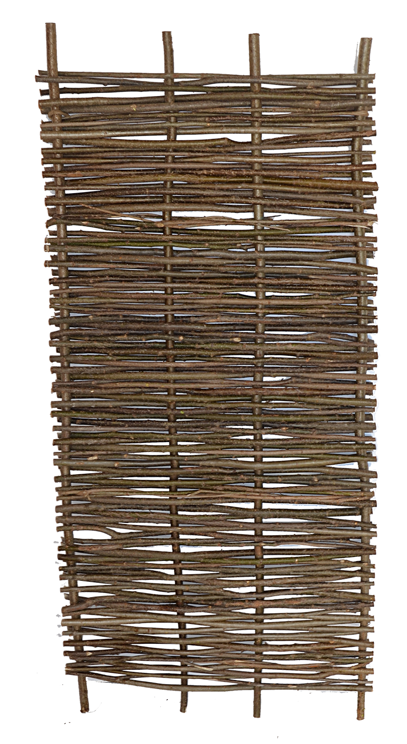 Hazel Stabil -plot lijeska 90/180
